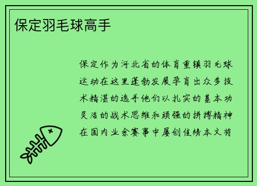 保定羽毛球高手