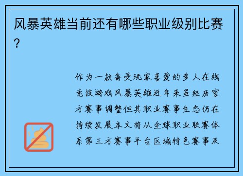 风暴英雄当前还有哪些职业级别比赛？